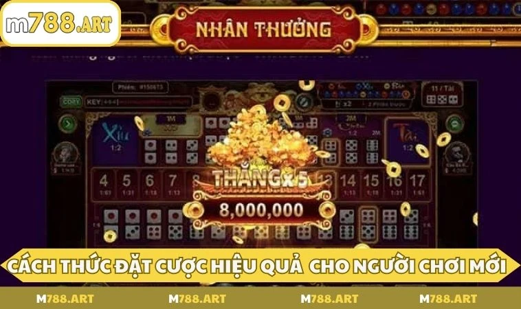 Cách thức đặt cược hiệu quả dành cho người chơi mới