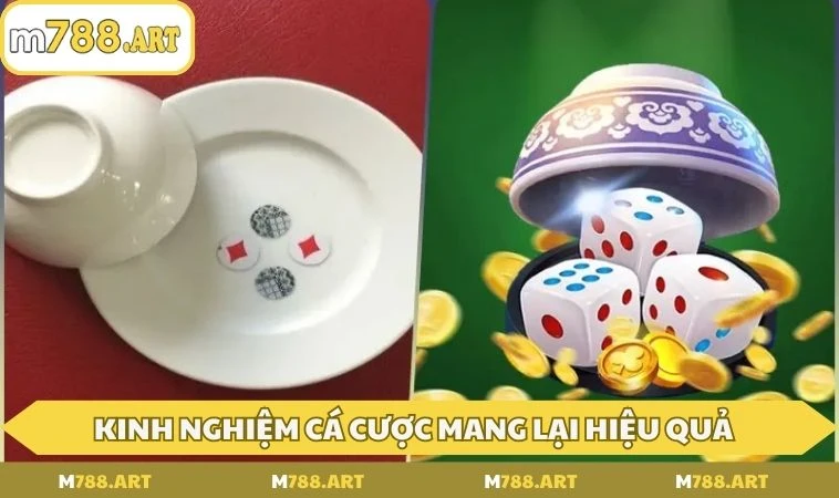 KInh nghiệm cá cược mang lại hiệu quả hơn